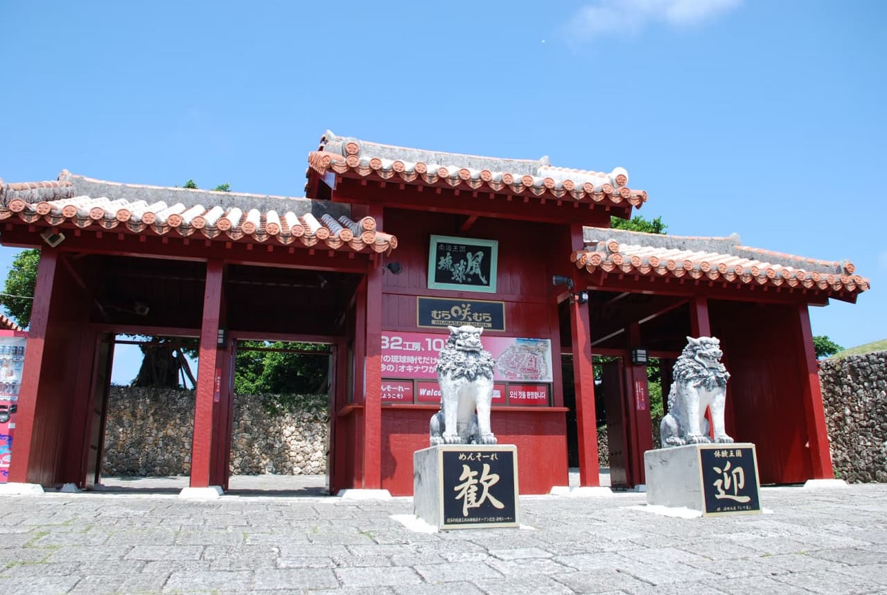 Okinawa Churaumi TokuToku Pass - image 11